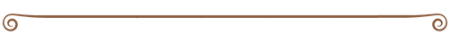 Sem nome (500 x 50 px) (2).png